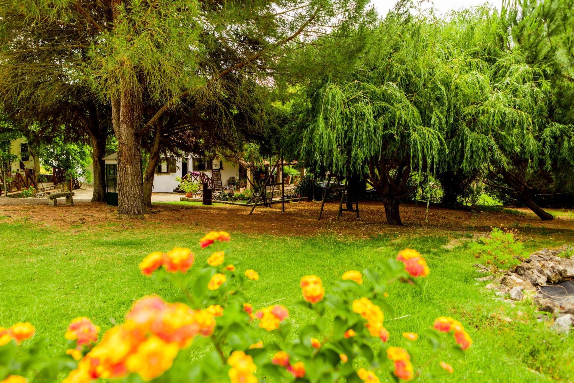 Quinta O Refugio Villa Azambuja Dış mekan fotoğraf