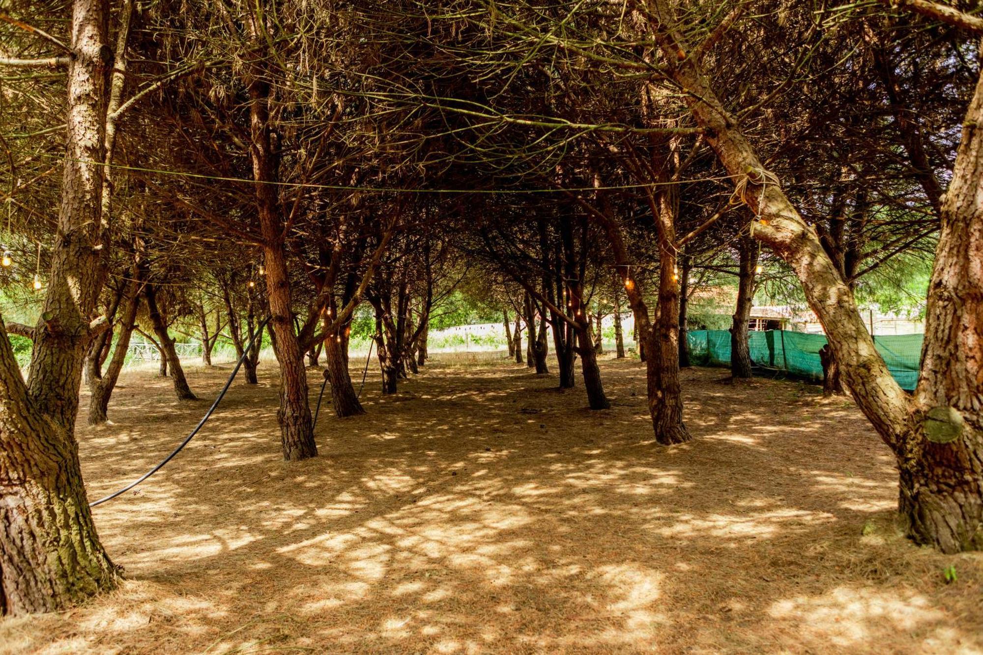 Quinta O Refugio Villa Azambuja Dış mekan fotoğraf
