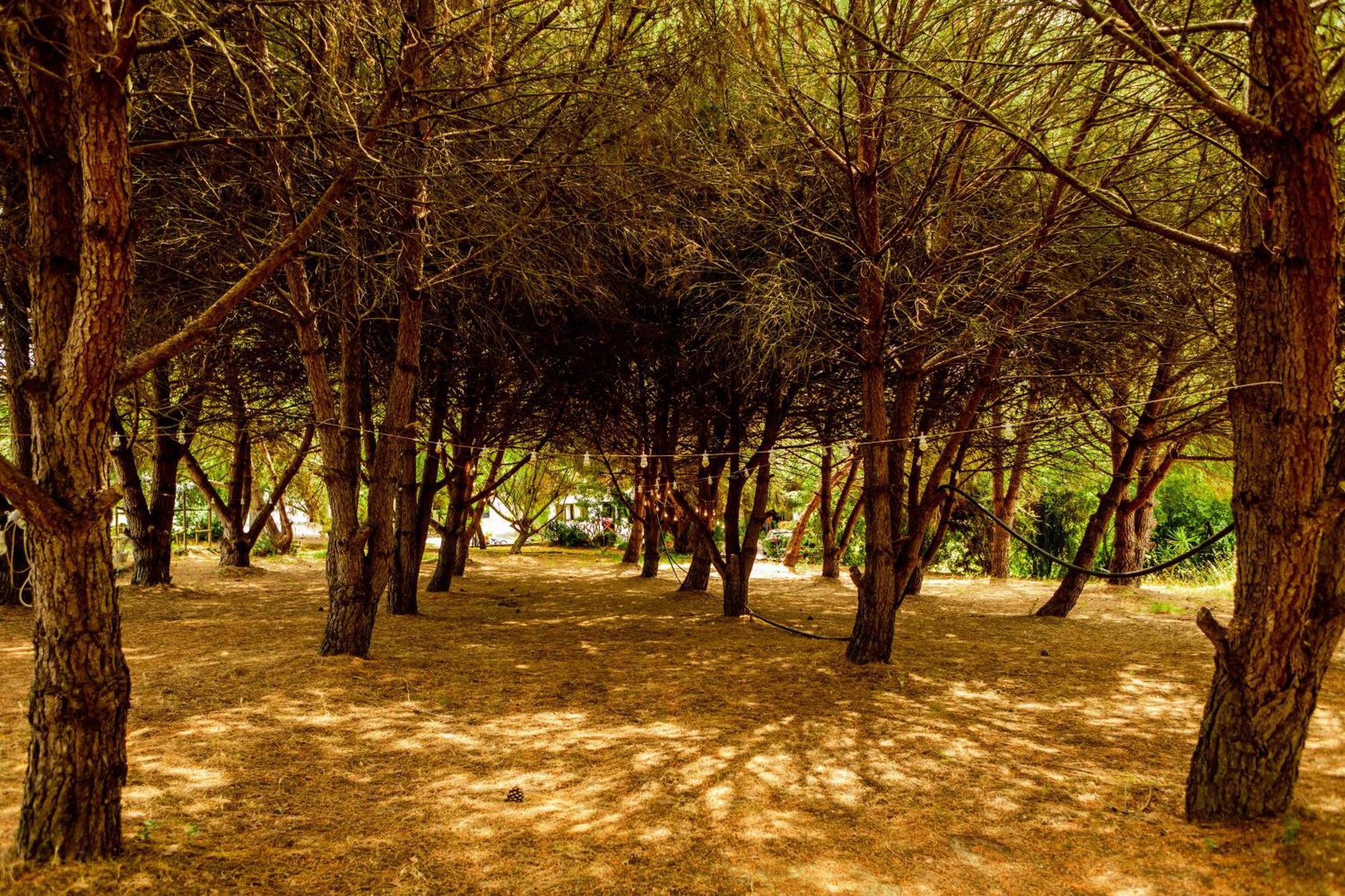 Quinta O Refugio Villa Azambuja Dış mekan fotoğraf