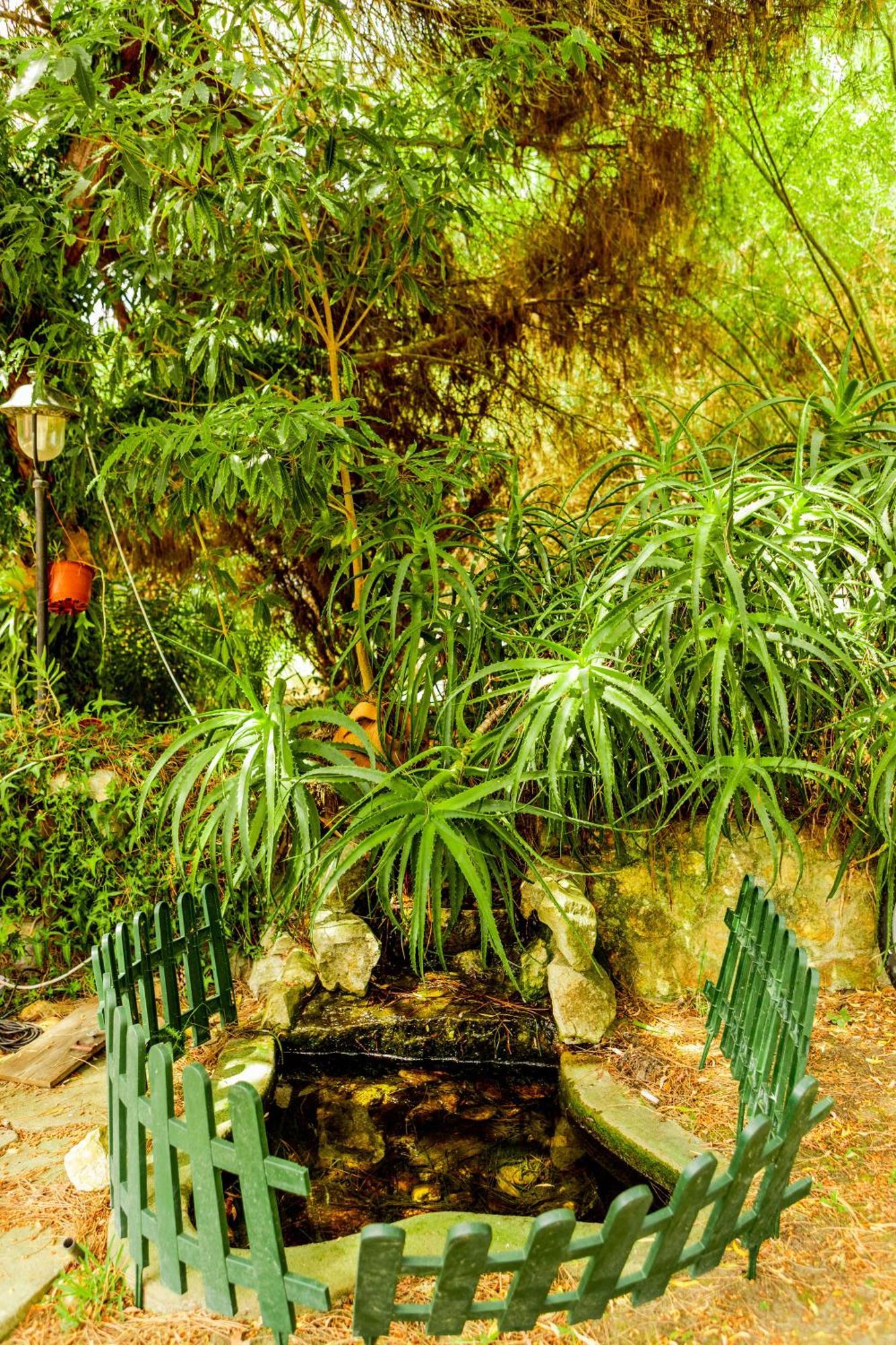 Quinta O Refugio Villa Azambuja Dış mekan fotoğraf