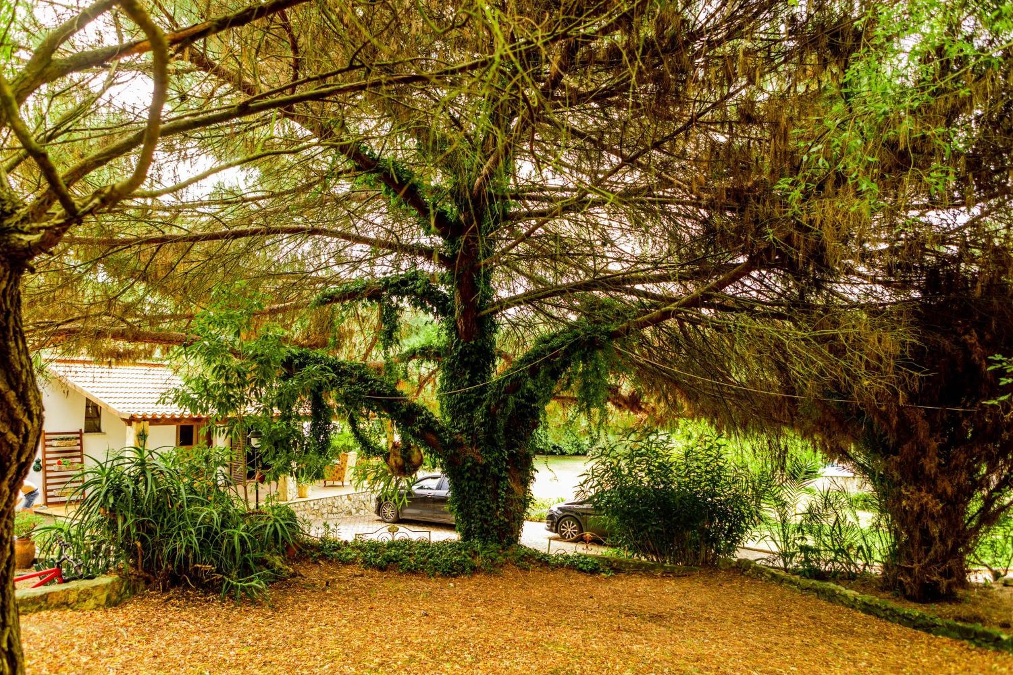 Quinta O Refugio Villa Azambuja Dış mekan fotoğraf