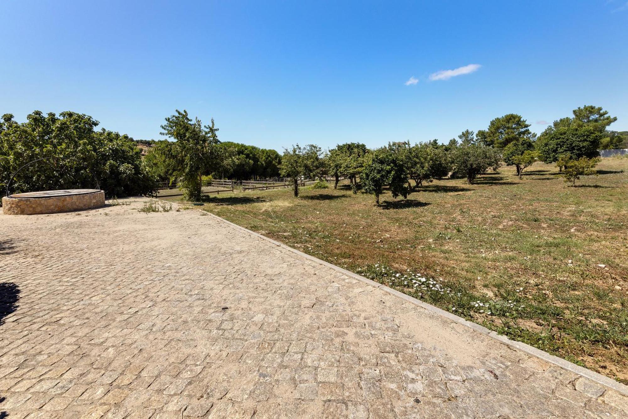 Quinta O Refugio Villa Azambuja Dış mekan fotoğraf